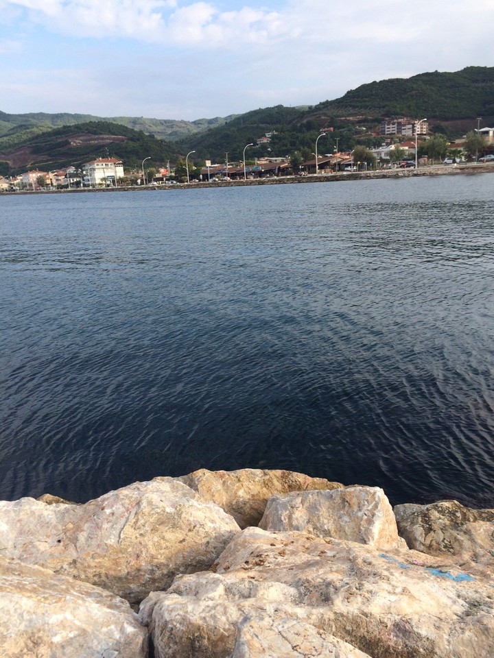 marina