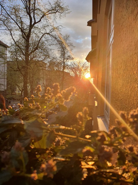 Abendgrüsse