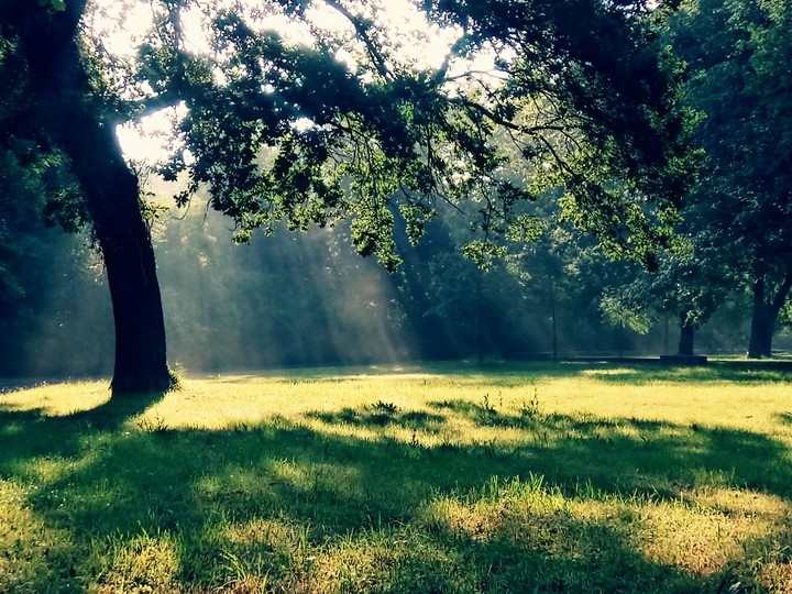 morning sun