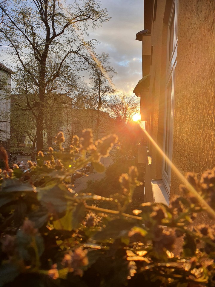 Abendgrüsse
