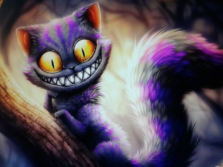 Cat Чешырский кот