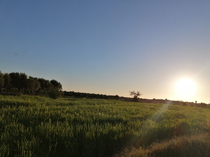 nature