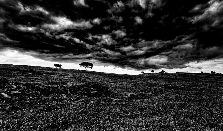 black sky