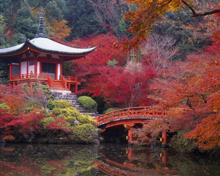 beautiful landscape
