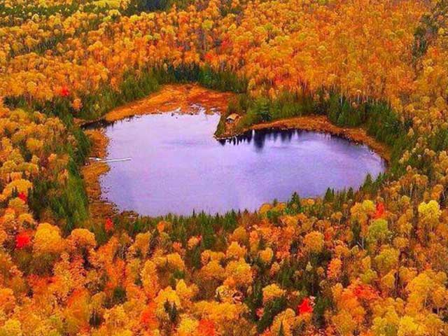 fall