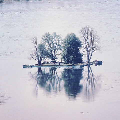 Dal lake .Kashmir