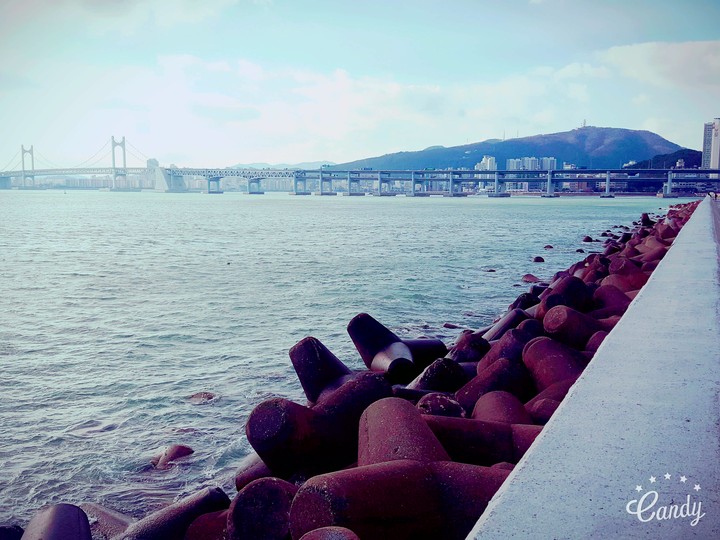busan