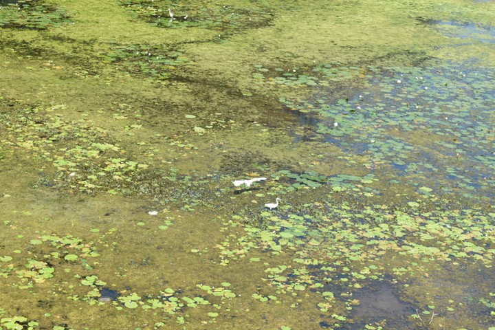 lake