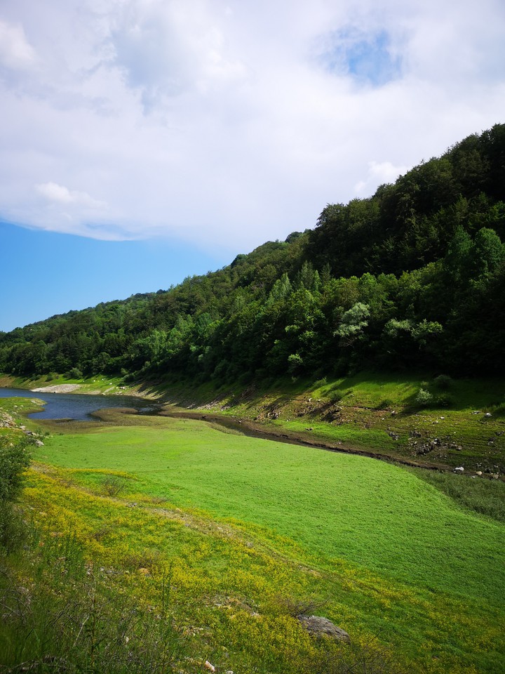 nature