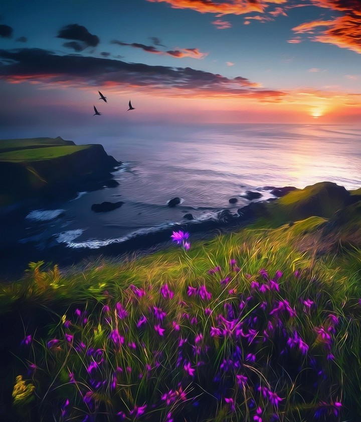 Nature's Beauty