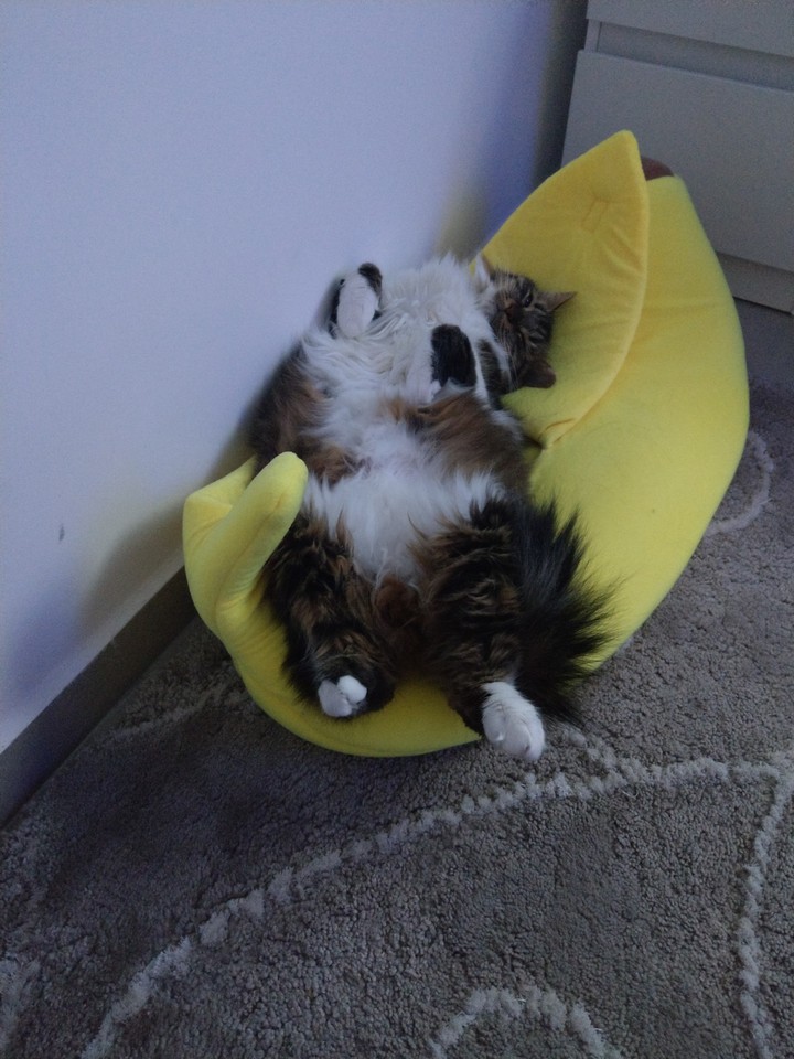 отдых