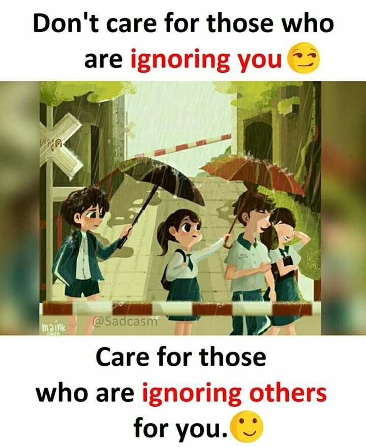 noo description