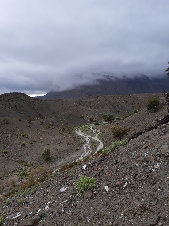عالی