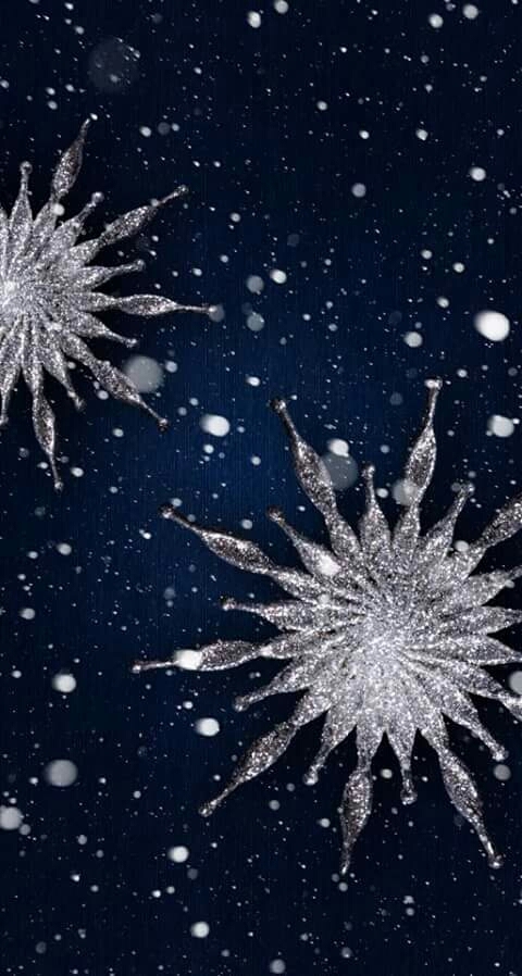⛄⛄❄