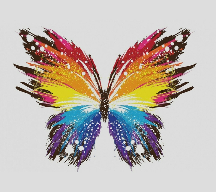 butterfly