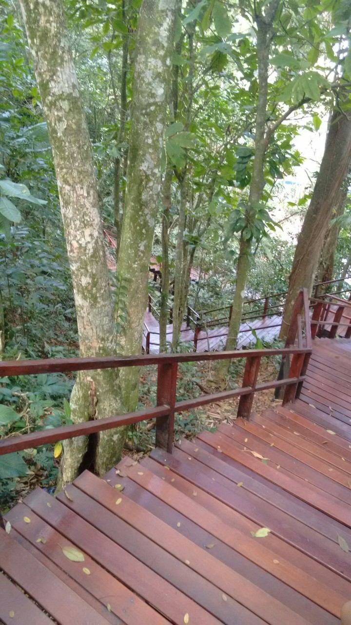 Mongaguá SP