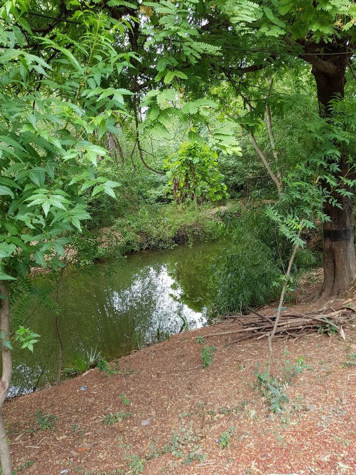 Small scenic river