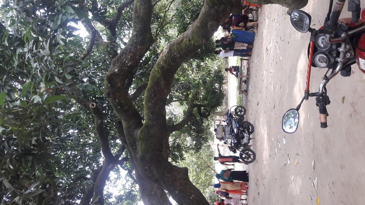 Dhaka thakorhao
