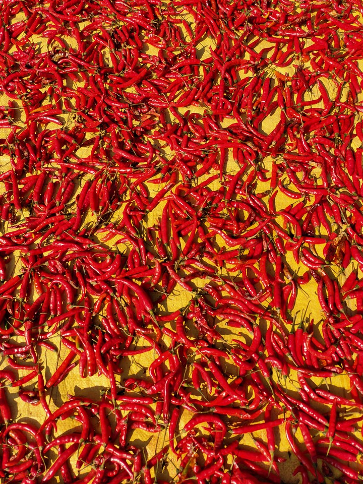 red chilly