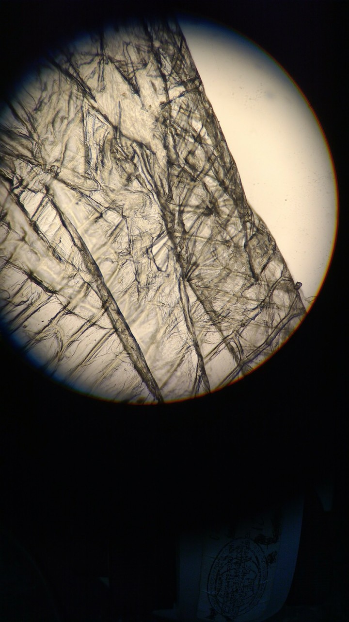 Biology