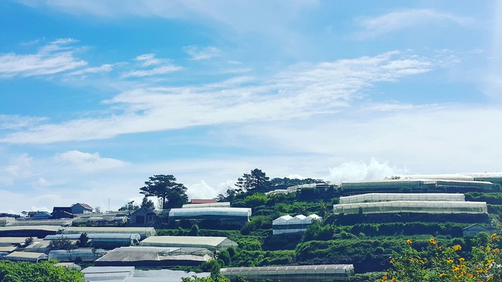 Morning at Da Lat