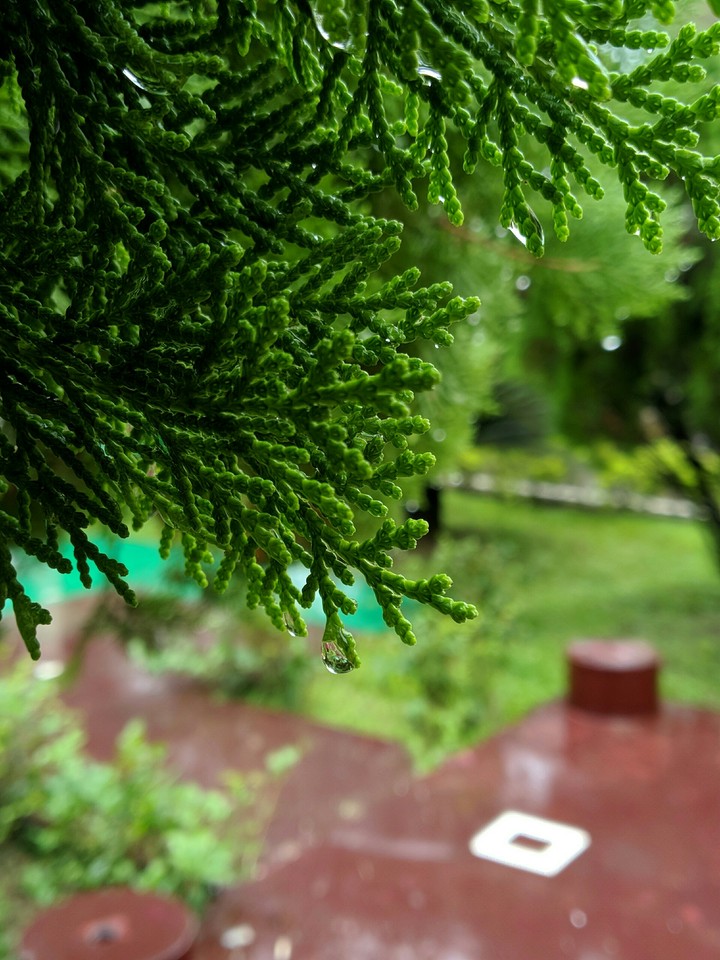 Rain drops