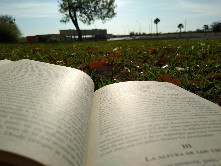 lectura