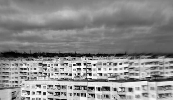 sofia jungle