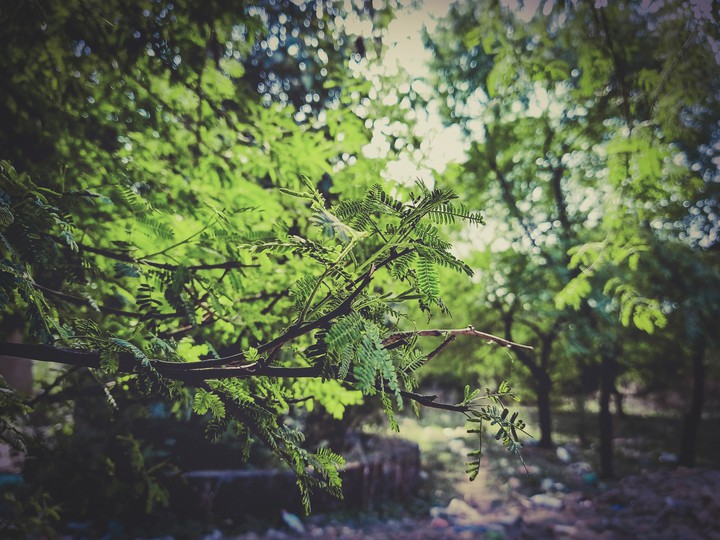 Trip_00_graphy