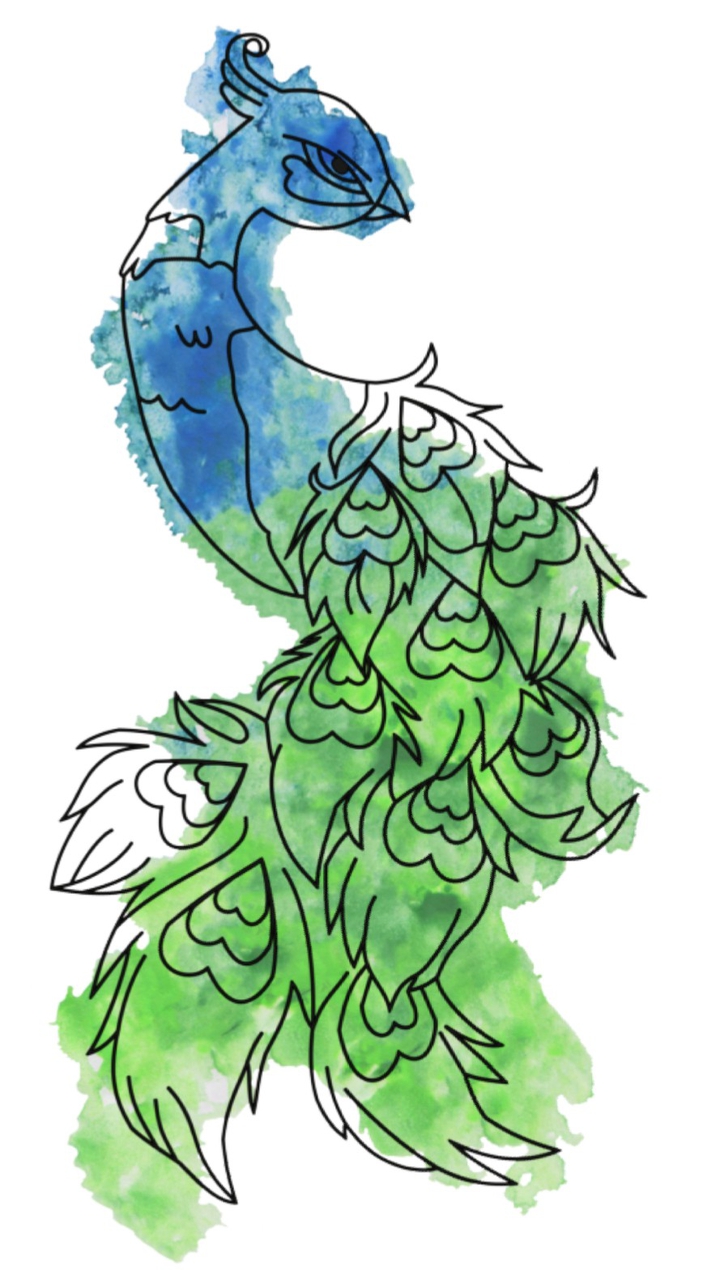 Peacock