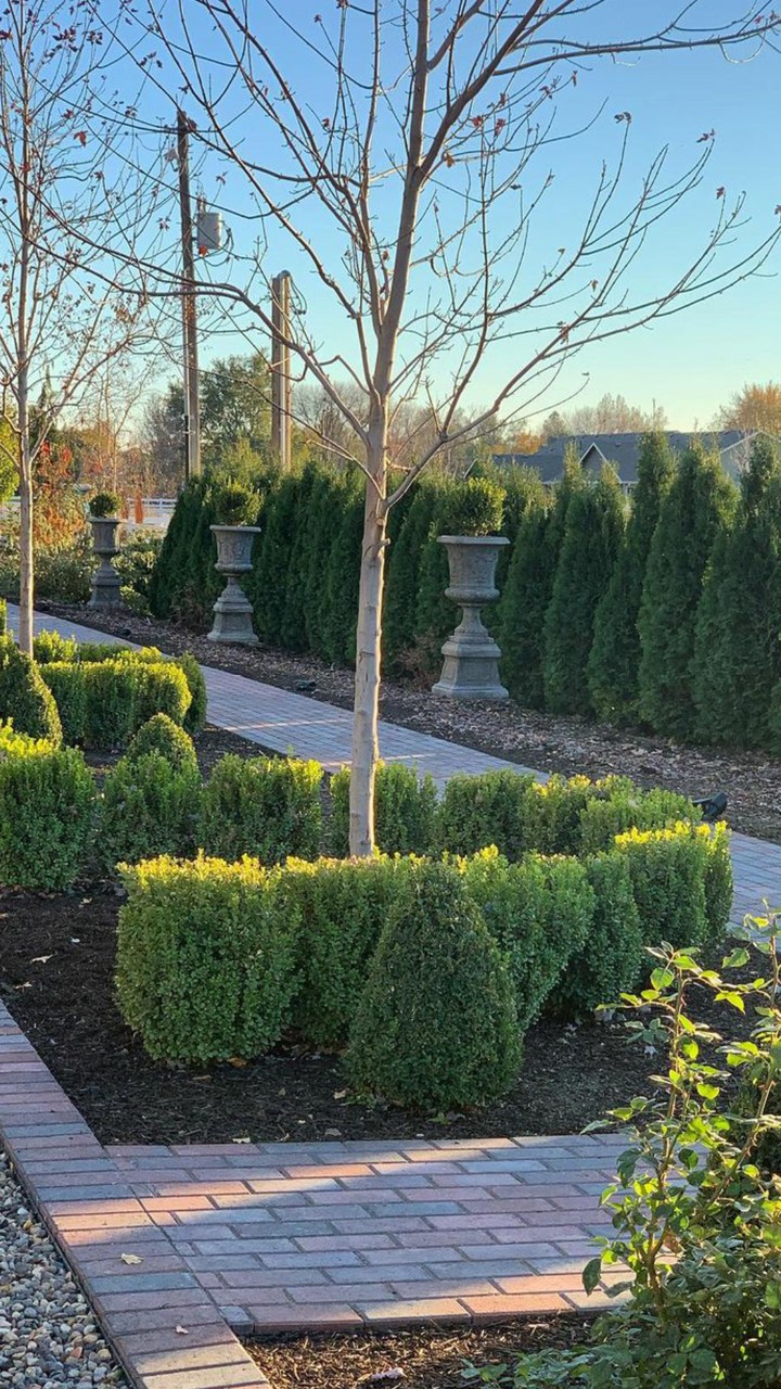 view garden