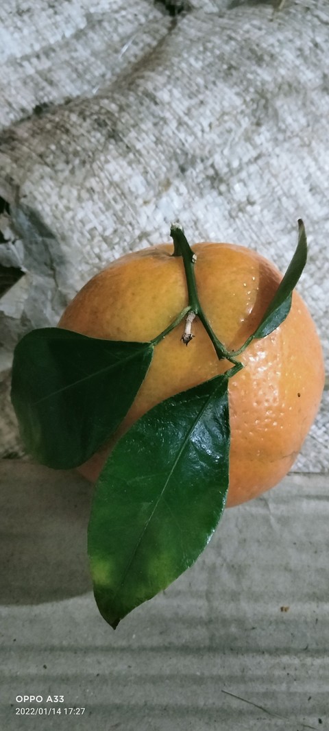 fruit, produce Hintergrundbilder