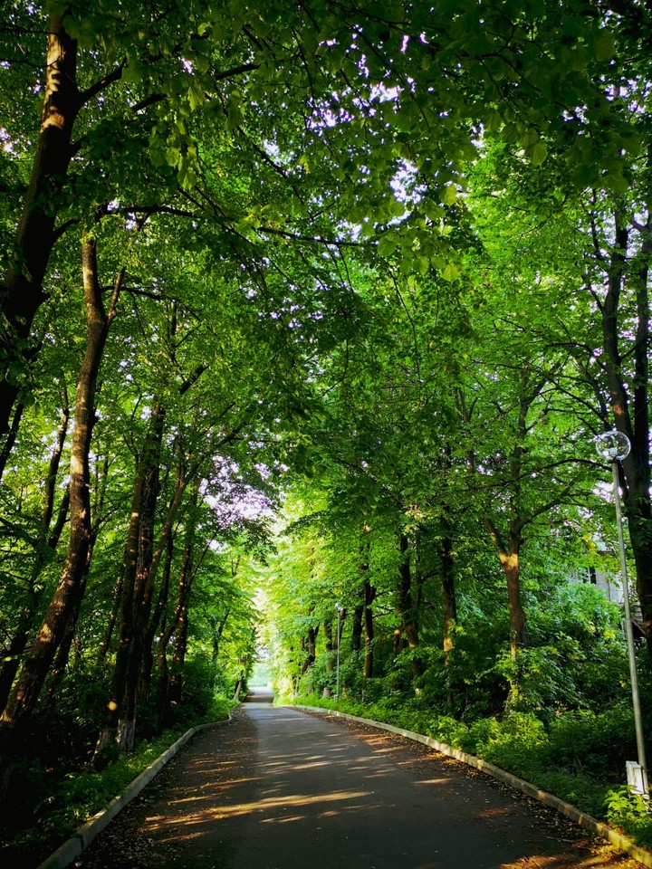Nature