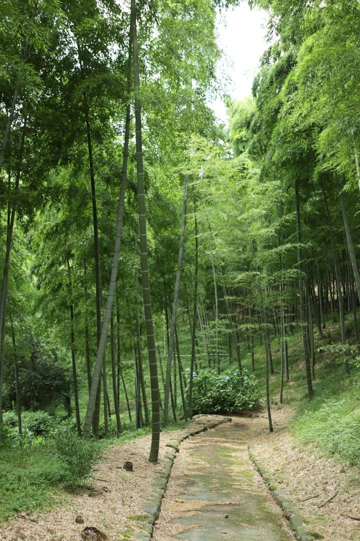 풍경이미지