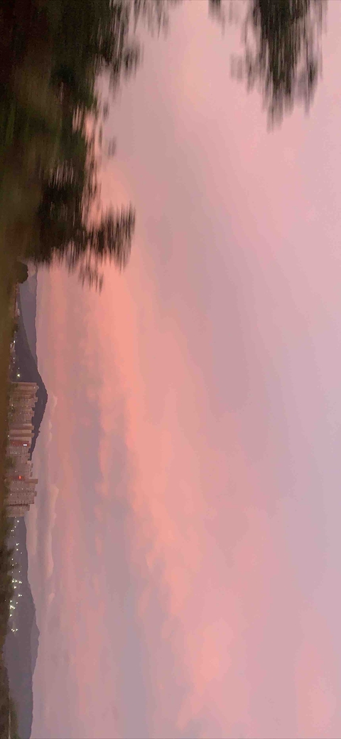pink & purple