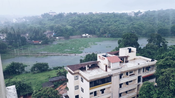 The Rain