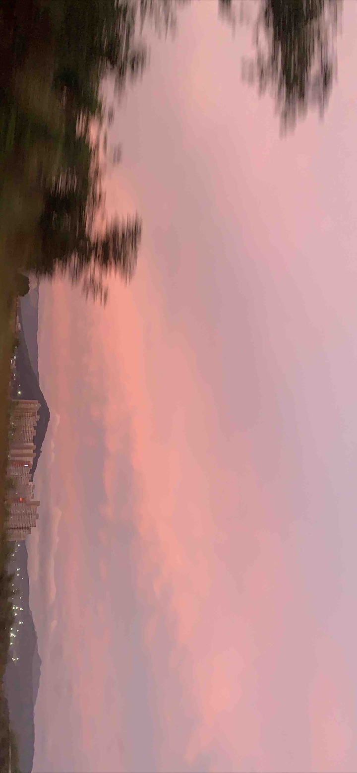 pink & purple