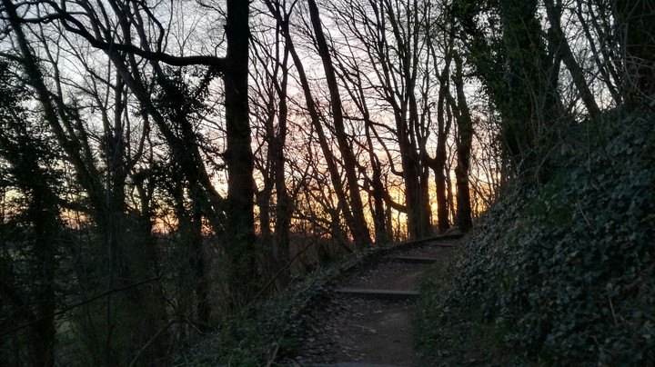 sunset
