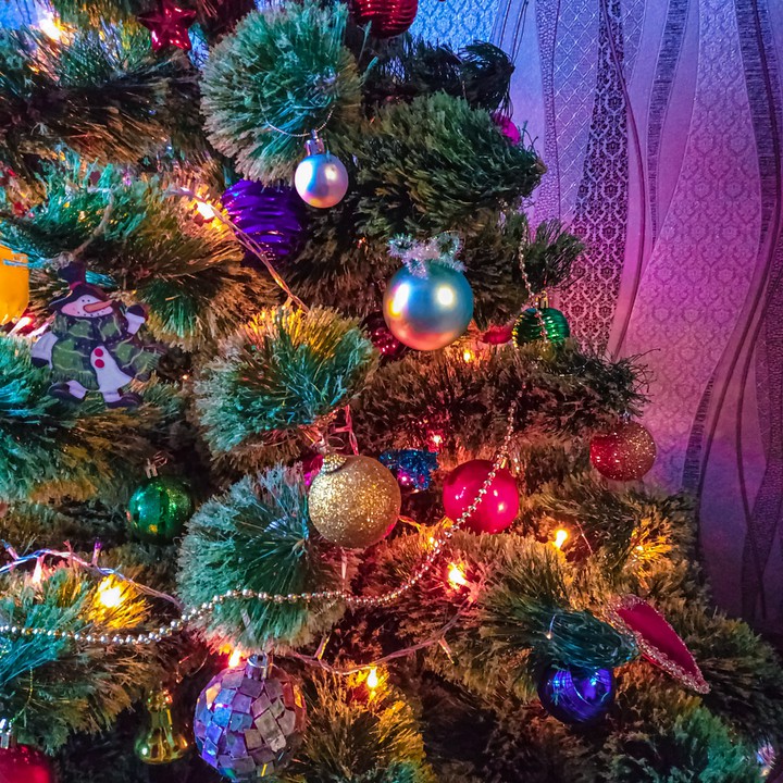 Merry Christmas