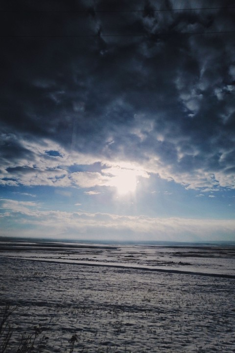 cloud, plant壁紙