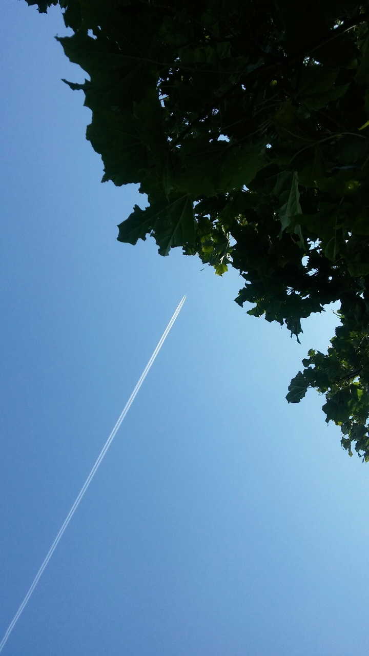 Airplane
