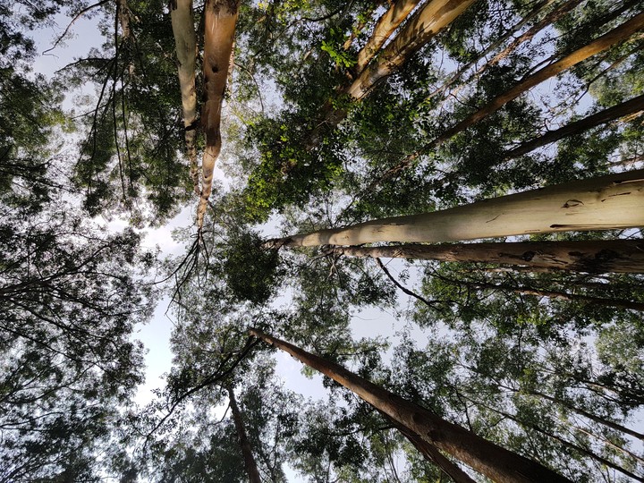 sky above