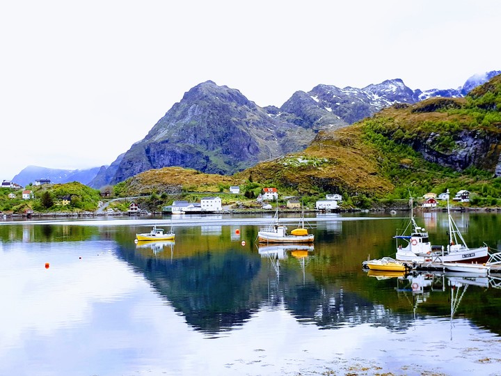 Reflections