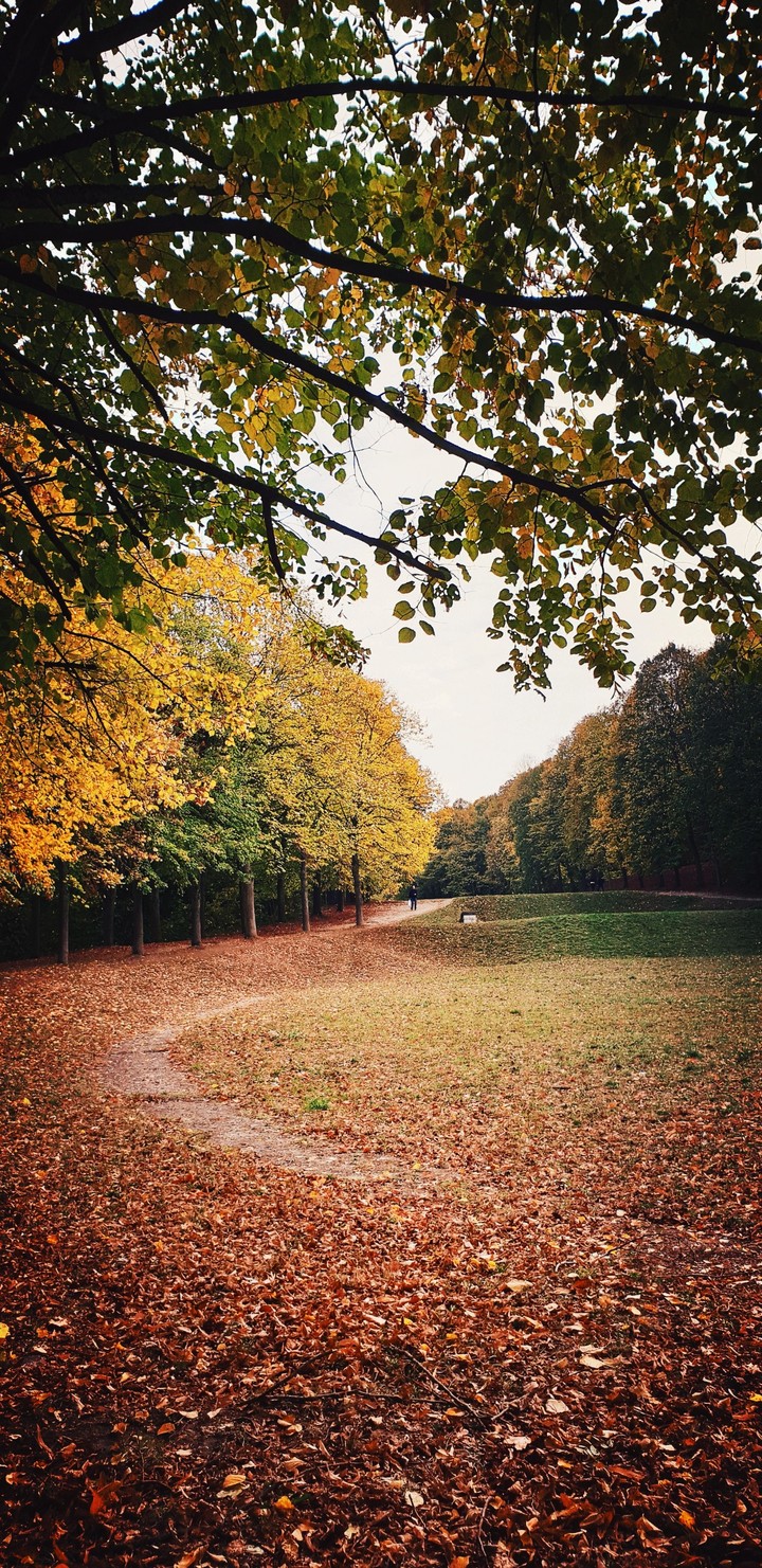 une balade dans le paradis d automne