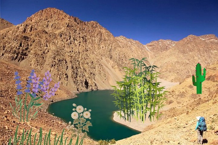 Lago