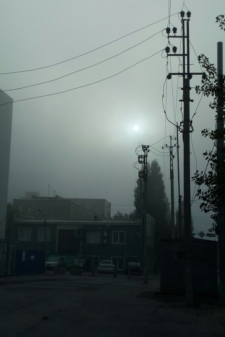 Fog