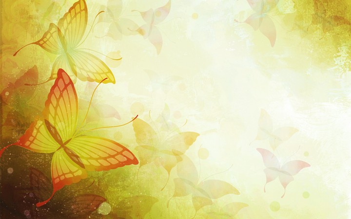 Butterfly wallpaper