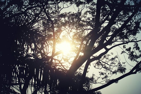 sunshine is the best medicine :)