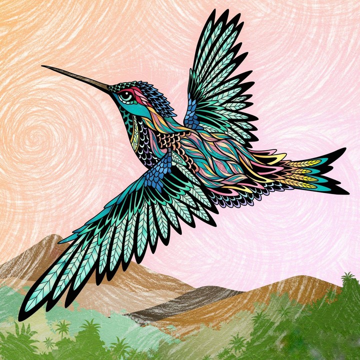 birdy