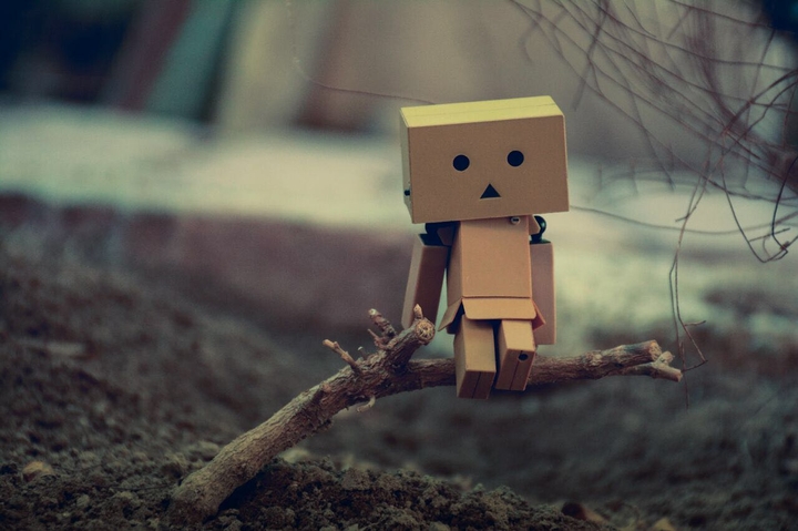 danbo